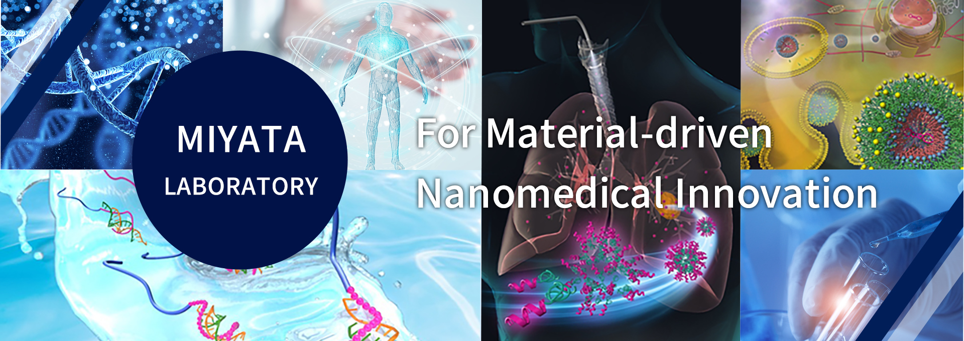MIYATA LABORATORY For Material-driven Nanomedical Innovation